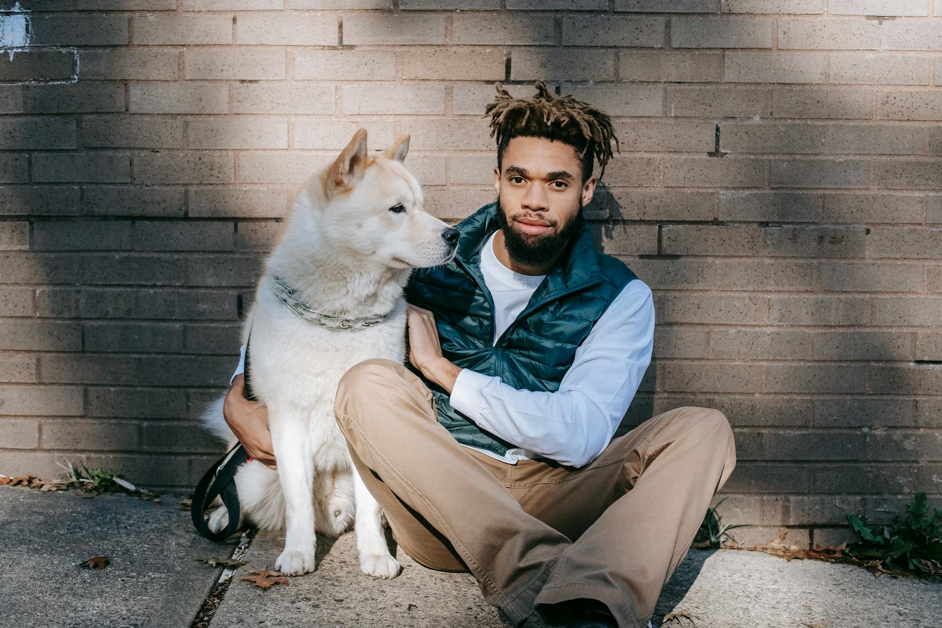 Black man in casual clothes sitting on ground with Akita Inu dog near brick wall in sunny day in street