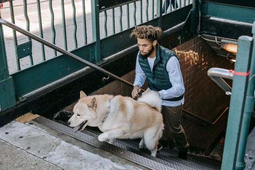 一名穿着休闲装的男子带着秋田犬，在城市的地铁楼梯上往下走