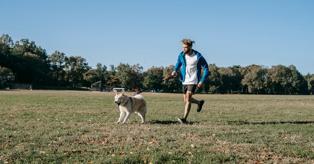 Ethnic male in casual clothes running on green lawn with adorable dog in sunny park