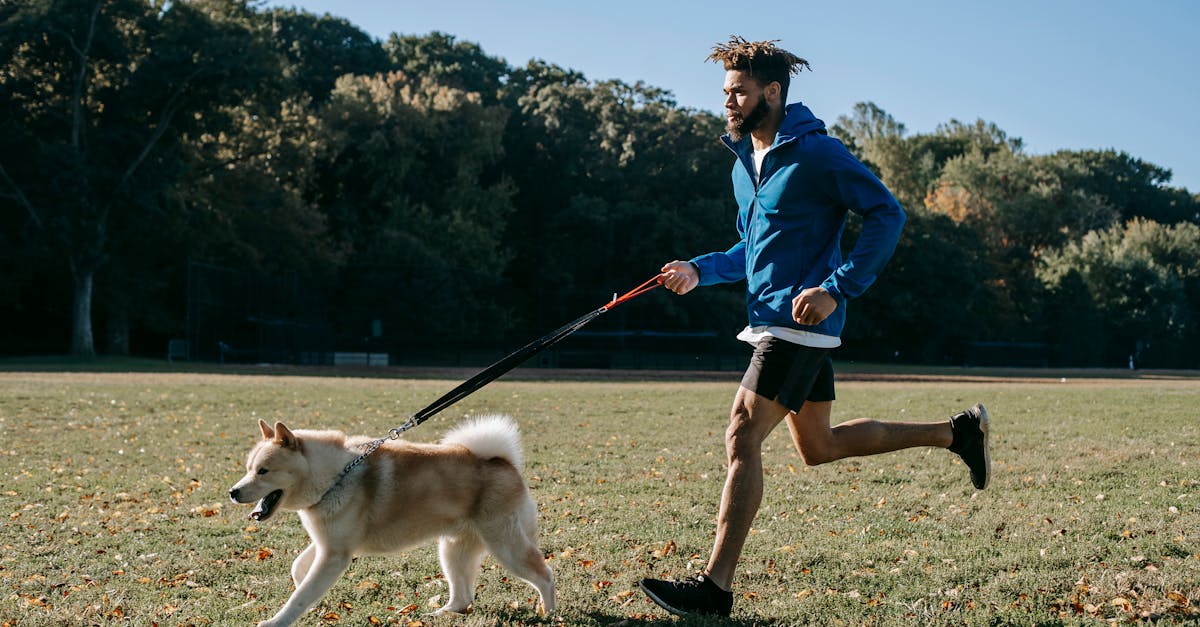 Active man training with dog