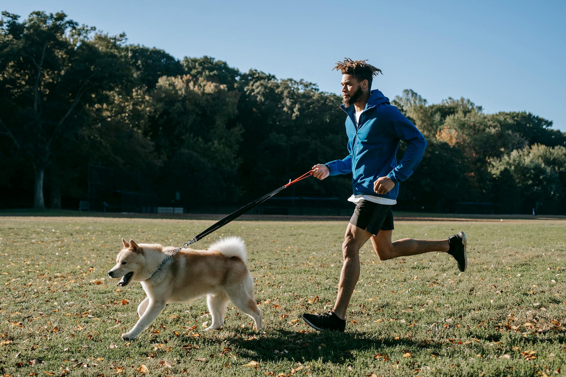 Active man training with dog