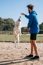 Side view of young man in sportswear training jumping dog  on sunny day