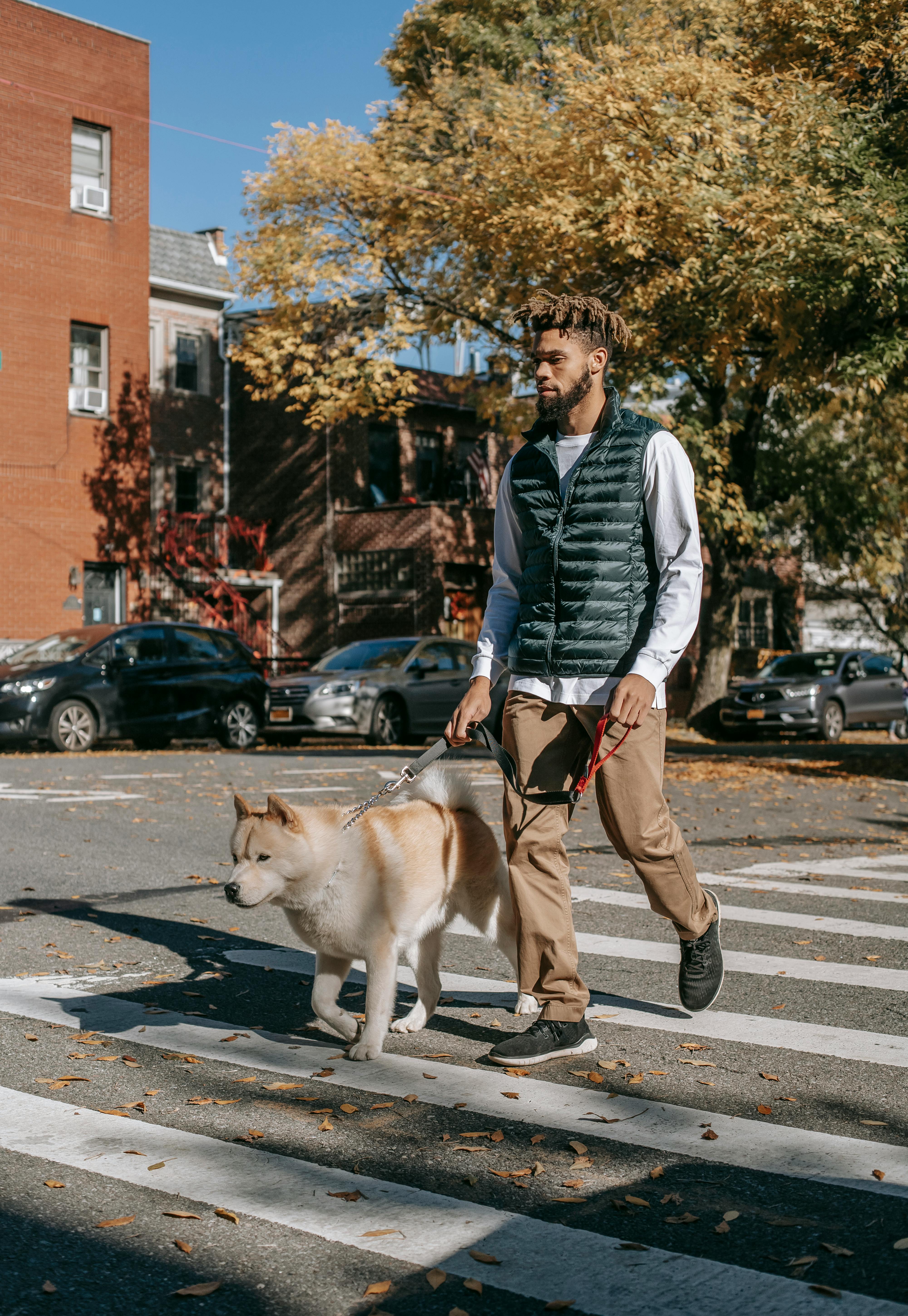 stylish man with dog on street