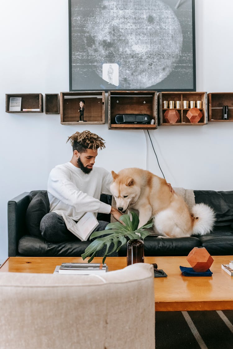 Young Man With Dog Resting On Sofa