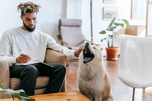 Serious ethnic male in casual clothes sitting on armchair and petting adorable dog while taking notes in notebook at home