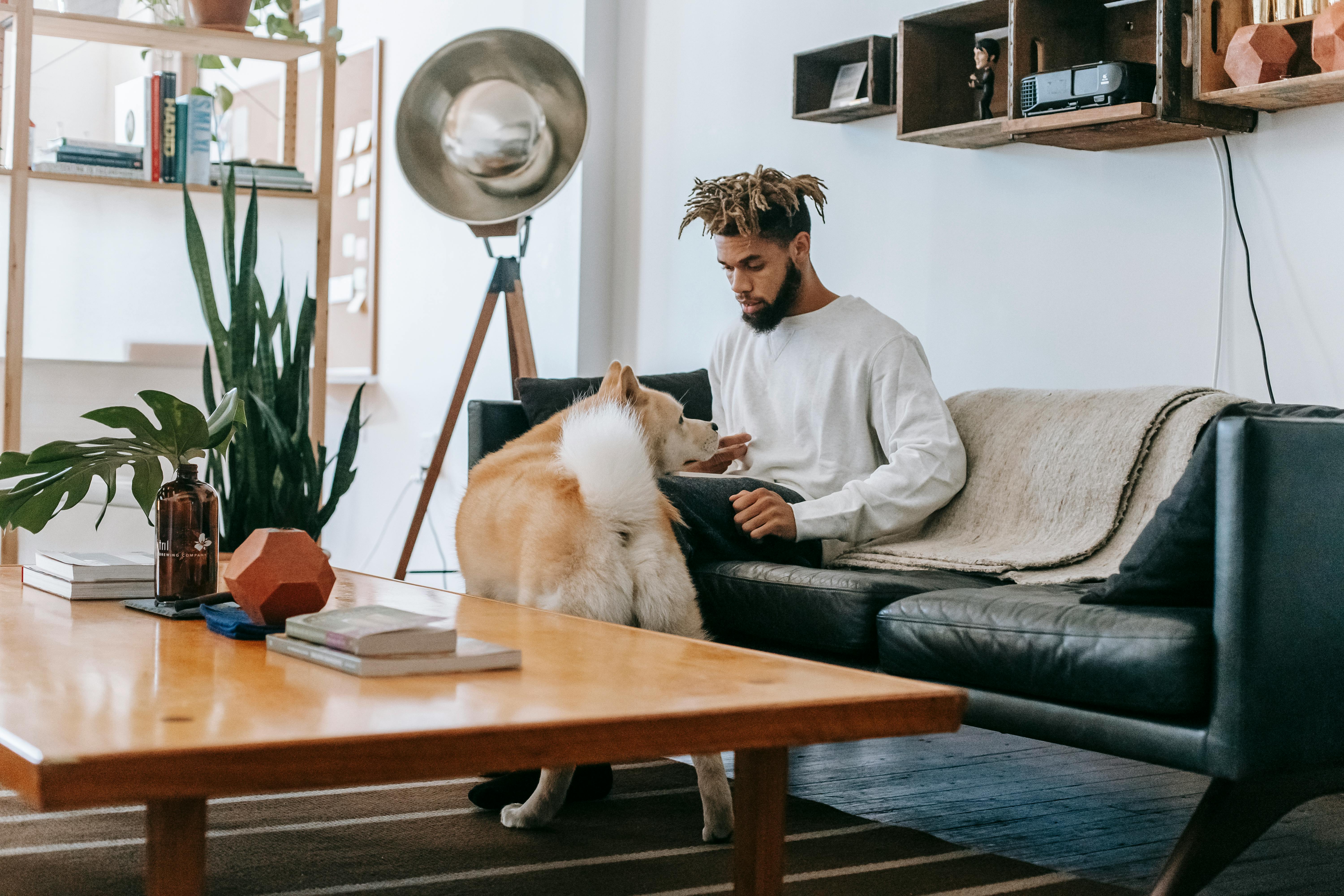 focused man working in modern living room with dog