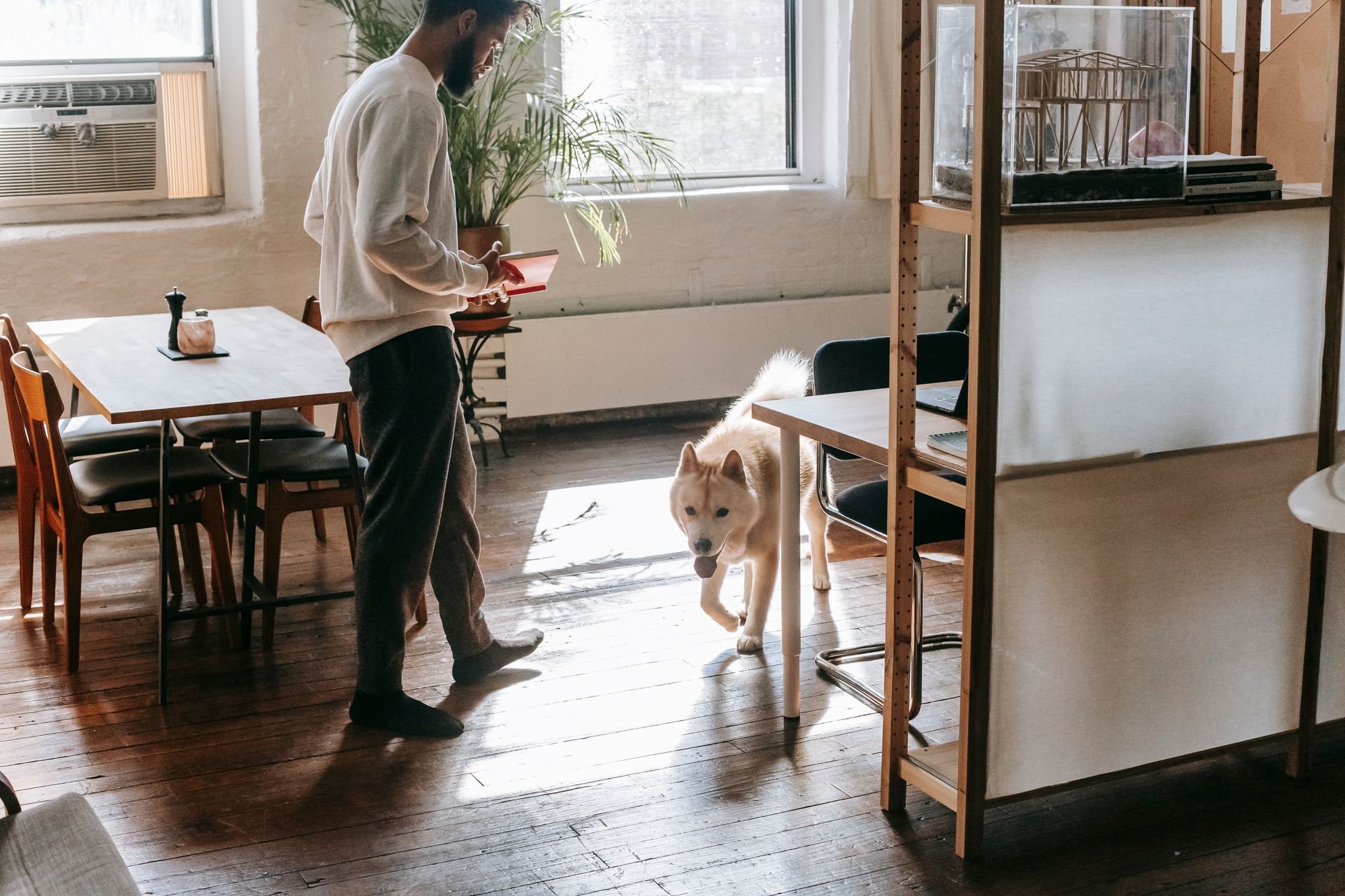 Side view of young male and dog spending free time together in cozy room at home