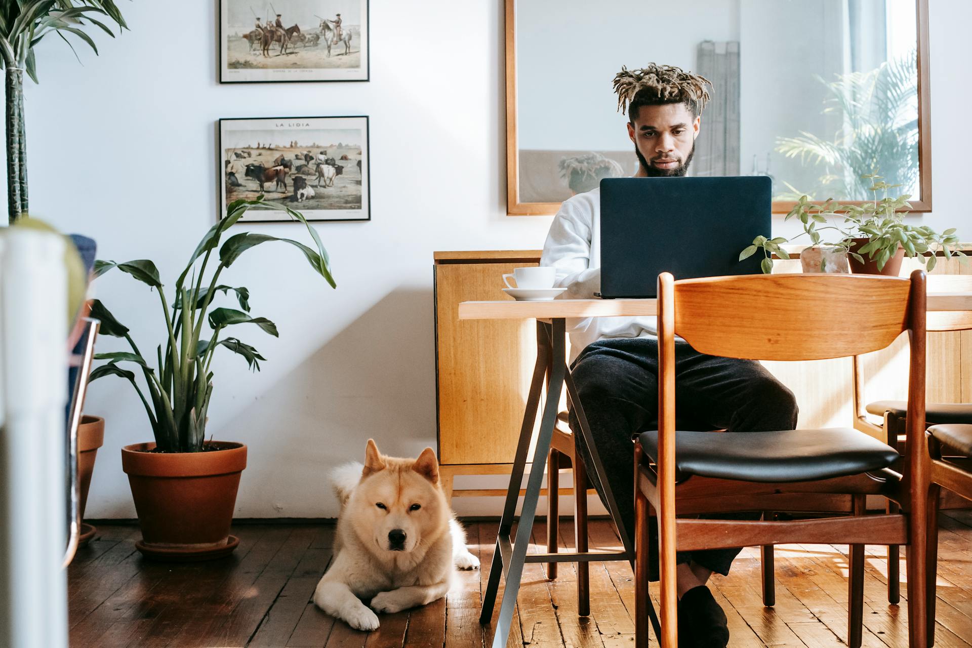 Afro-américain réfléchi indépendant en vêtements décontractés assis à la table et naviguant sur ordinateur portable tandis que le calme Akita Inu allongé sur le sol dans une chambre dans un appartement par une journée ensoleillée