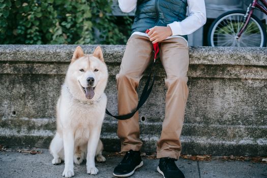 一只友善的秋田犬和主人一起快乐地坐在户外，享受着阳光明媚的一天