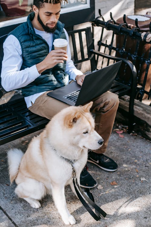 Pensive African American man freelancer using laptop and drinking takeaway coffee while sitting on bench near calm Akita Inu on street in sunny day