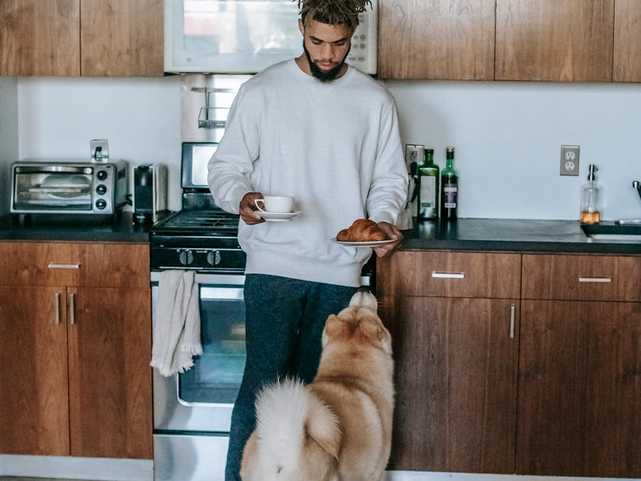 Can dogs eat cucumbers?