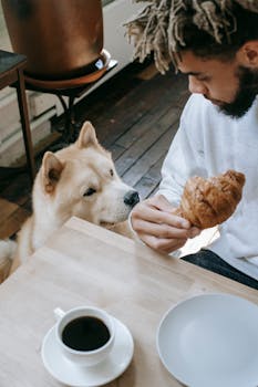 Casual morning scene with man offering croissant to attentive dog, coffee on table.