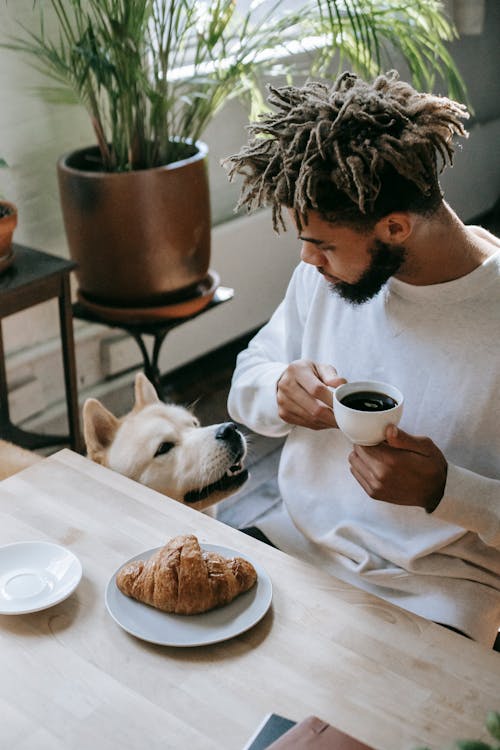 Obedient Akita Inu sitting near African American man drinking hot coffee while sitting at table with croissant during breakfast in apartment in daytime