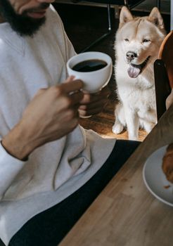 秋田犬坐着，看着身穿休闲服、坐在桌边喝咖啡的庄稼人