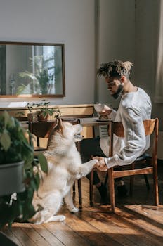 Addestramento cani di grossa taglia