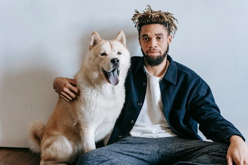 Tranquil African American man in casual clothes sitting on floor and embracing Akita Inu against white wall in apartment