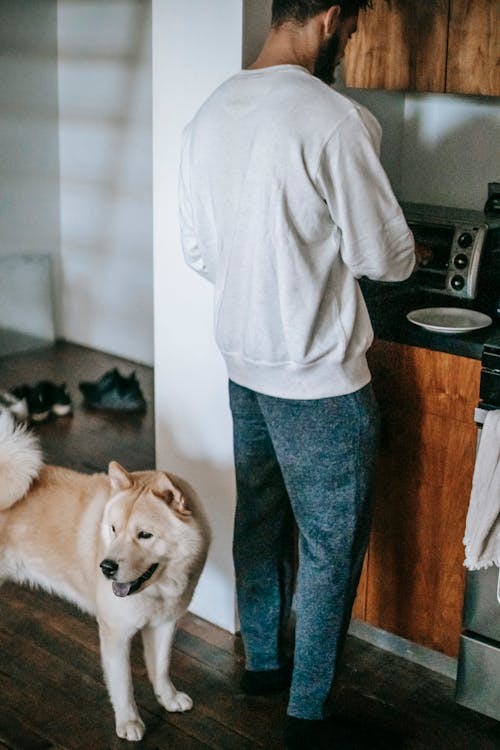 Man cooking in kitchen and standing near Akita Inu