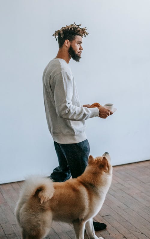 Akita Inu walking near black man at home