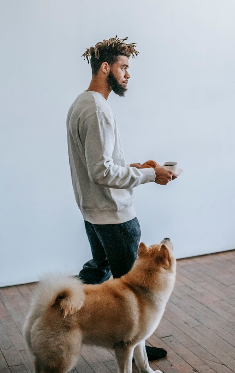 Akita Inu Walking Near Black Man At Home