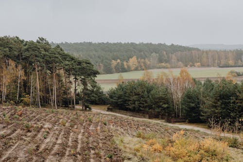 Photos gratuites de agriculture, arbres, campagne