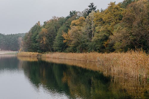 Základová fotografie zdarma na téma jezero, krajina, malebný