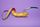 measuring tape