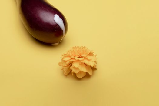 Studio Shot of a Courgette and Yellow Flower Head on Yellow Background