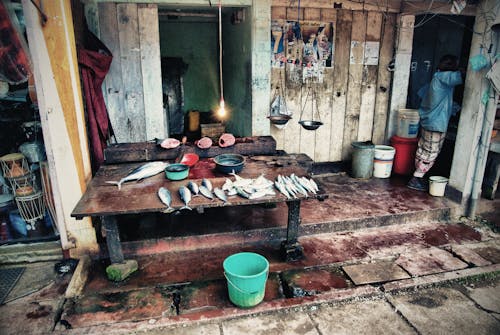 수산시장, 스리랑카의 무료 스톡 사진