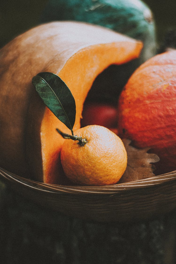 Autumn Ripe Vegetable And Fruit