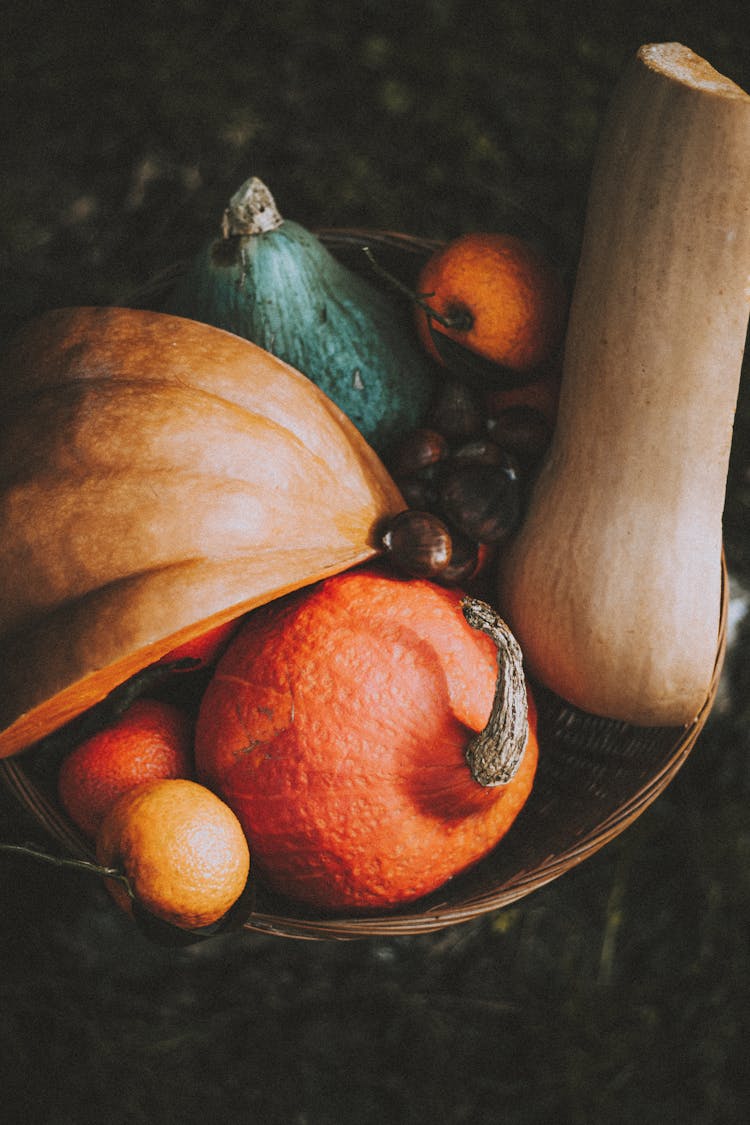 Assorted Colorful Pumpkins In Basket