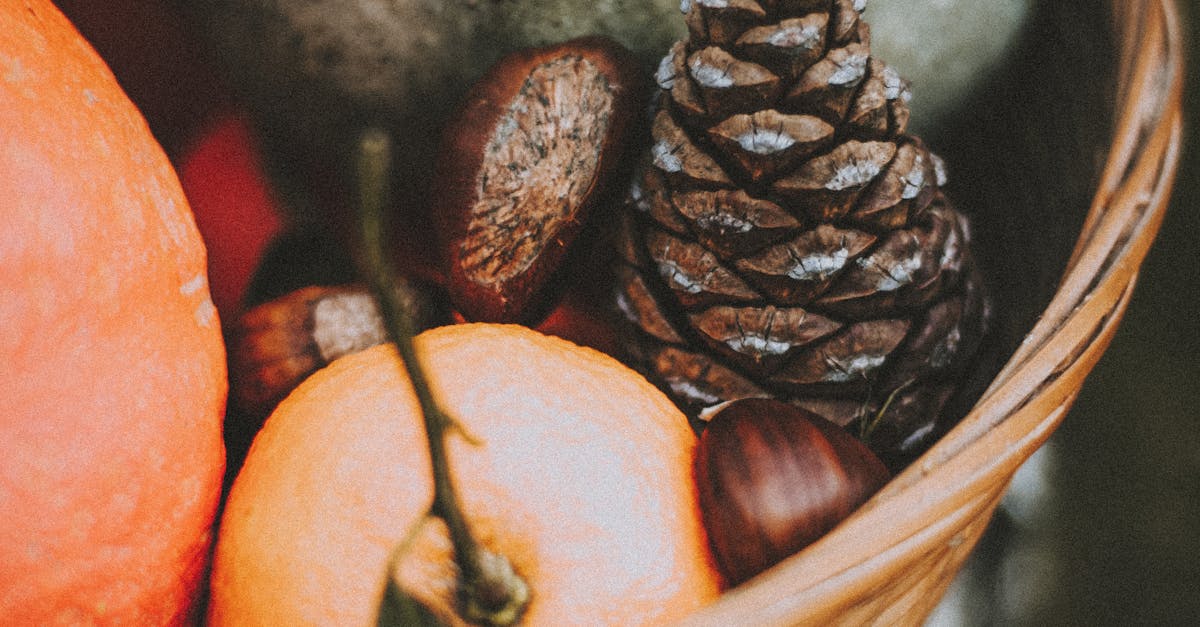 How to cut up acorn squash for soup
