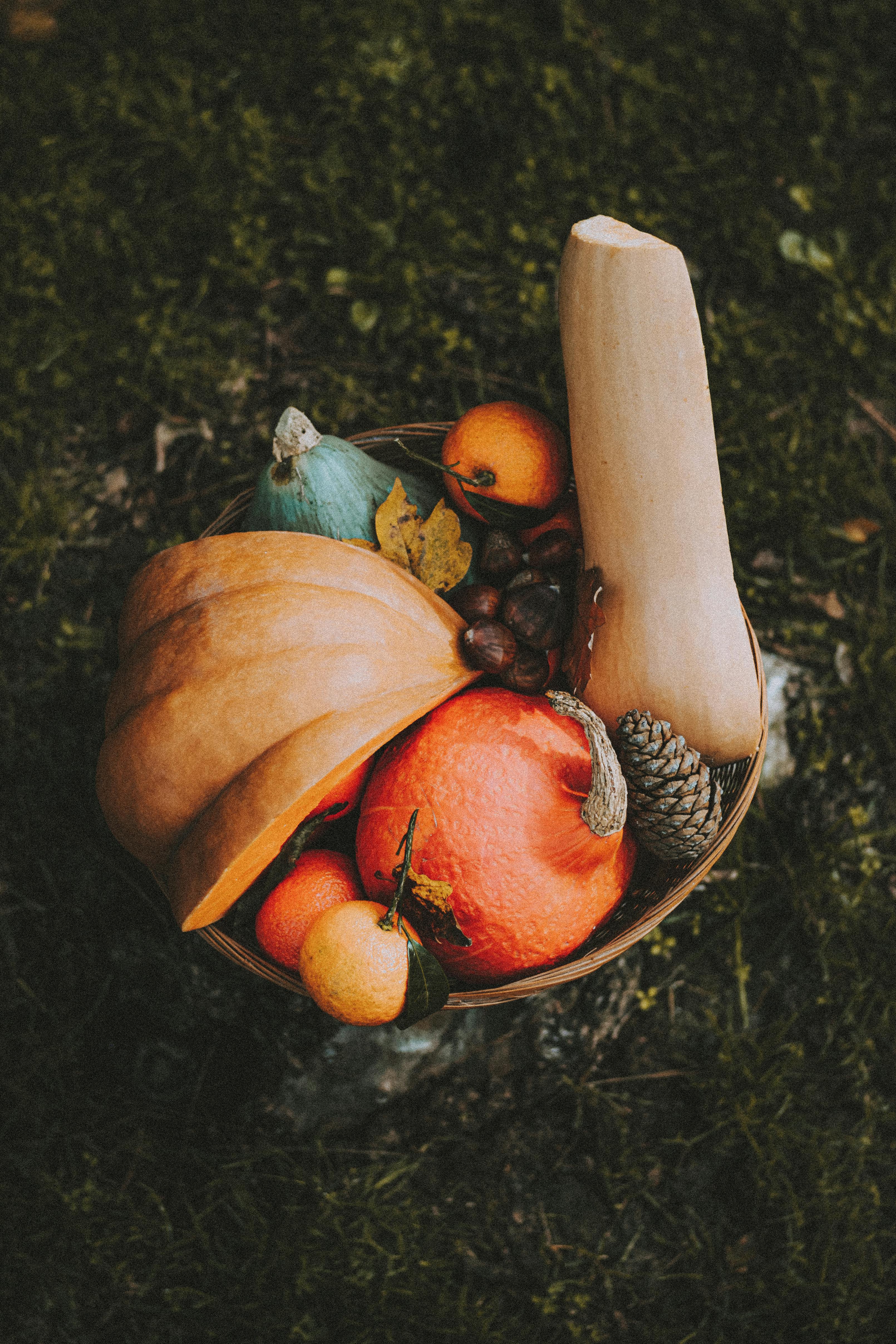 rustic wicker with autumn pumpkins