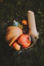 Rustic wicker with autumn pumpkins