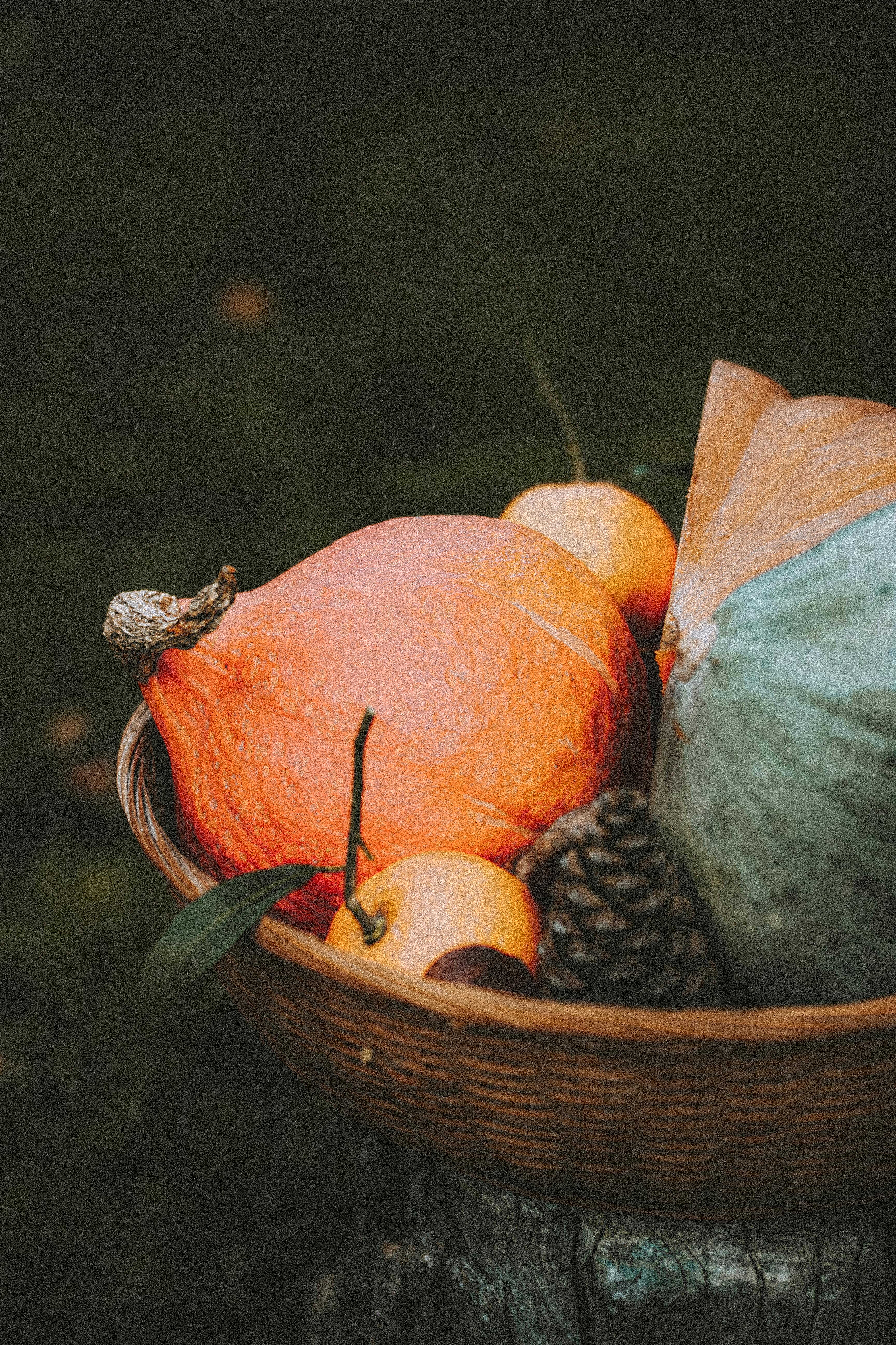basket of colorful autumn pumpkins and cone