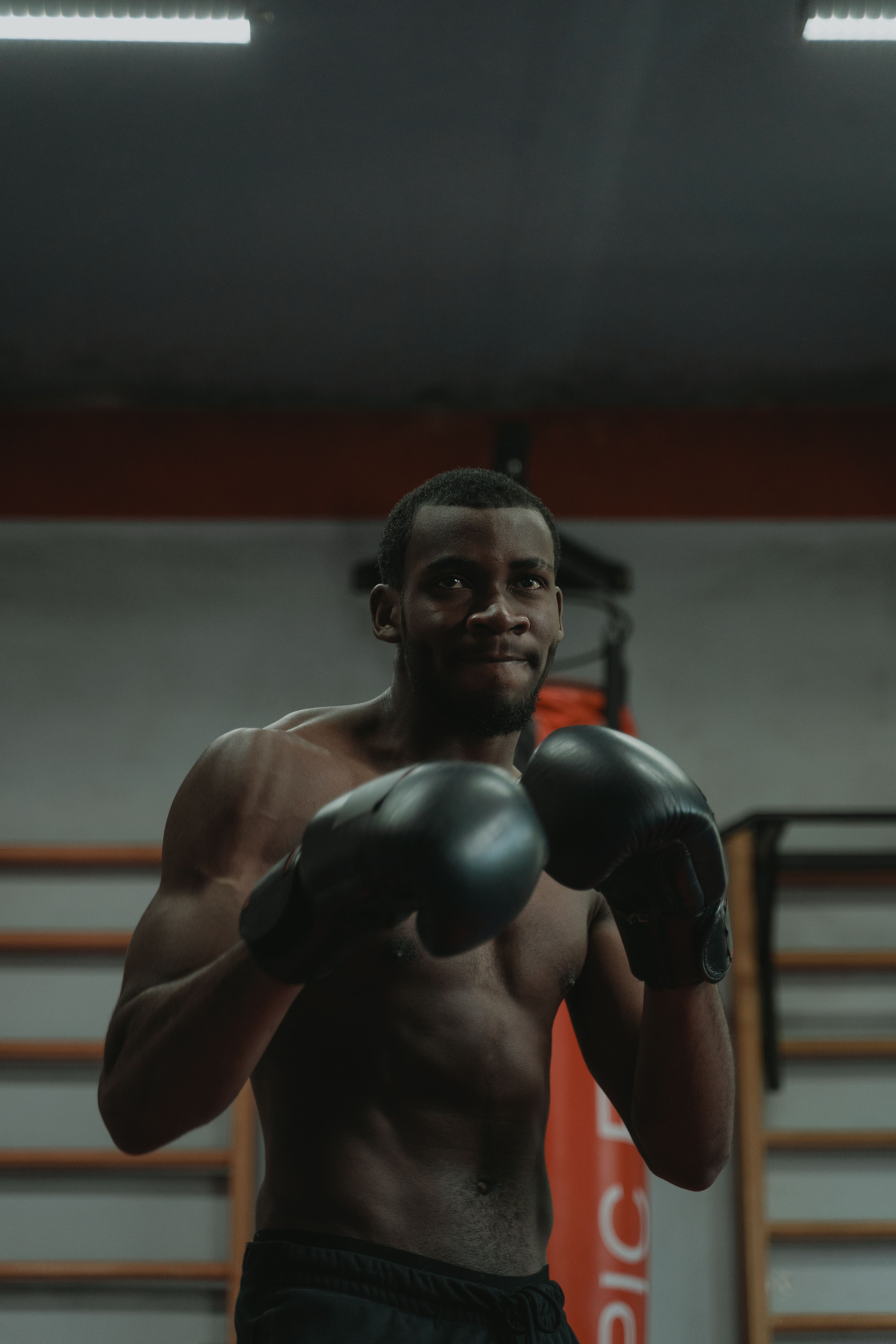 A Boxer Ready to Fight Pose · Free Stock Photo