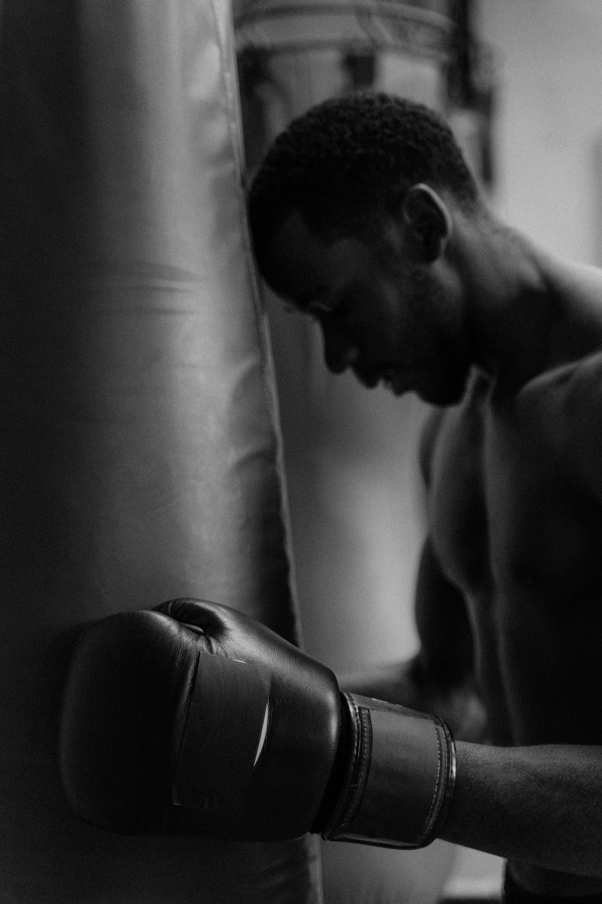 Boxer training