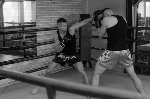 Základová fotografie zdarma na téma boxer, boxerské dovednosti, boxování