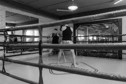 Foto profissional grátis de academia de ginástica, ação, anel de boxe