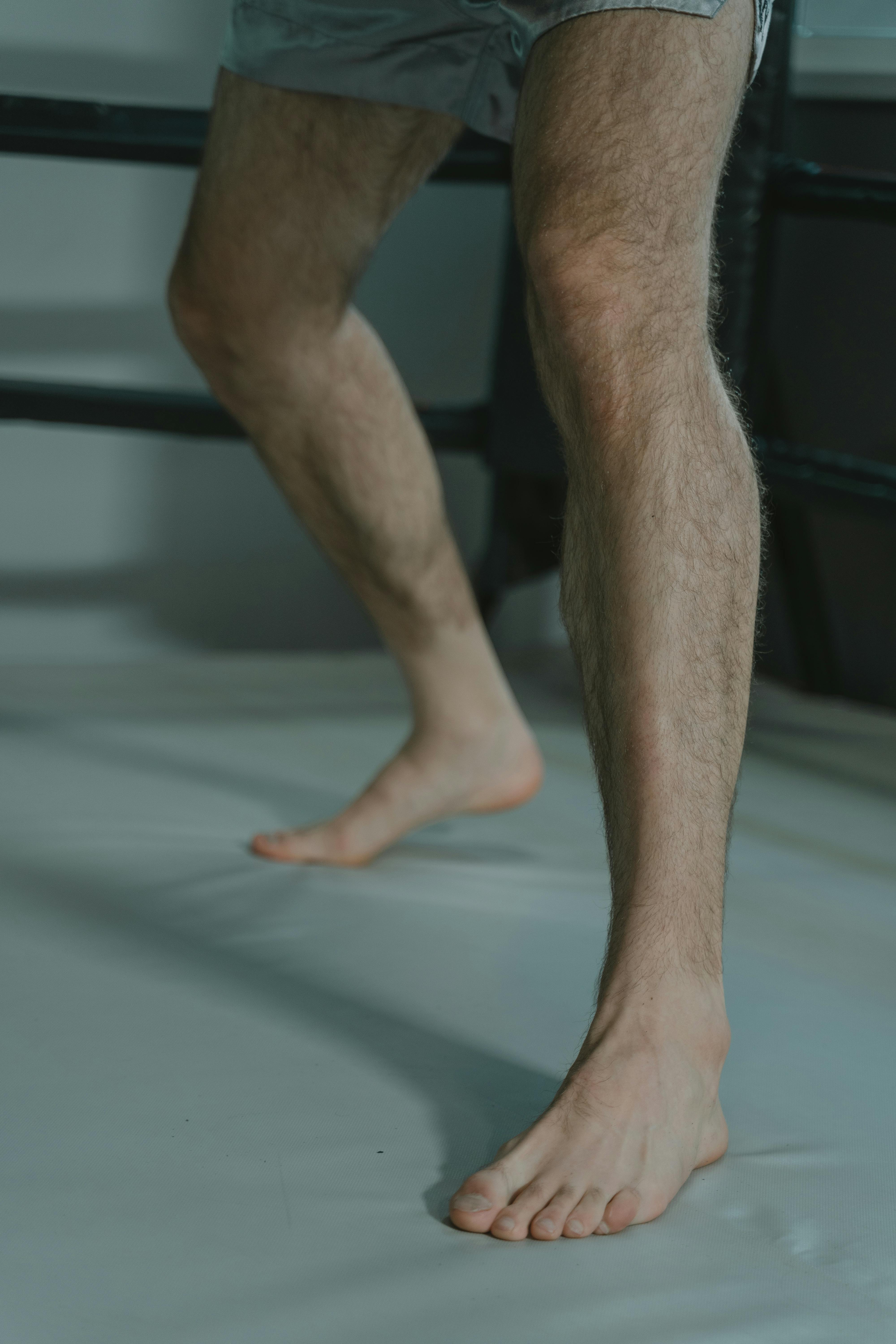 Hairy Muscle Bears Photos, Download The BEST Free Hairy Muscle Bears