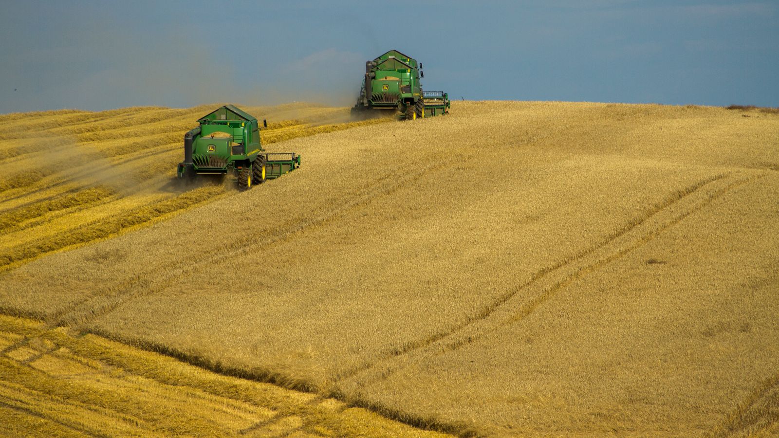 Kombajny podczas żniw na polu w Mrągowie na Warmii i Mazurach