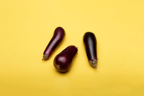 Free Eggplants on a Yellow Background  Stock Photo