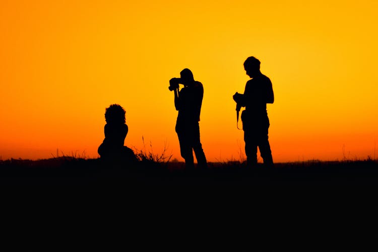 Silhouettes Of People Taking Photos In Wild Nature