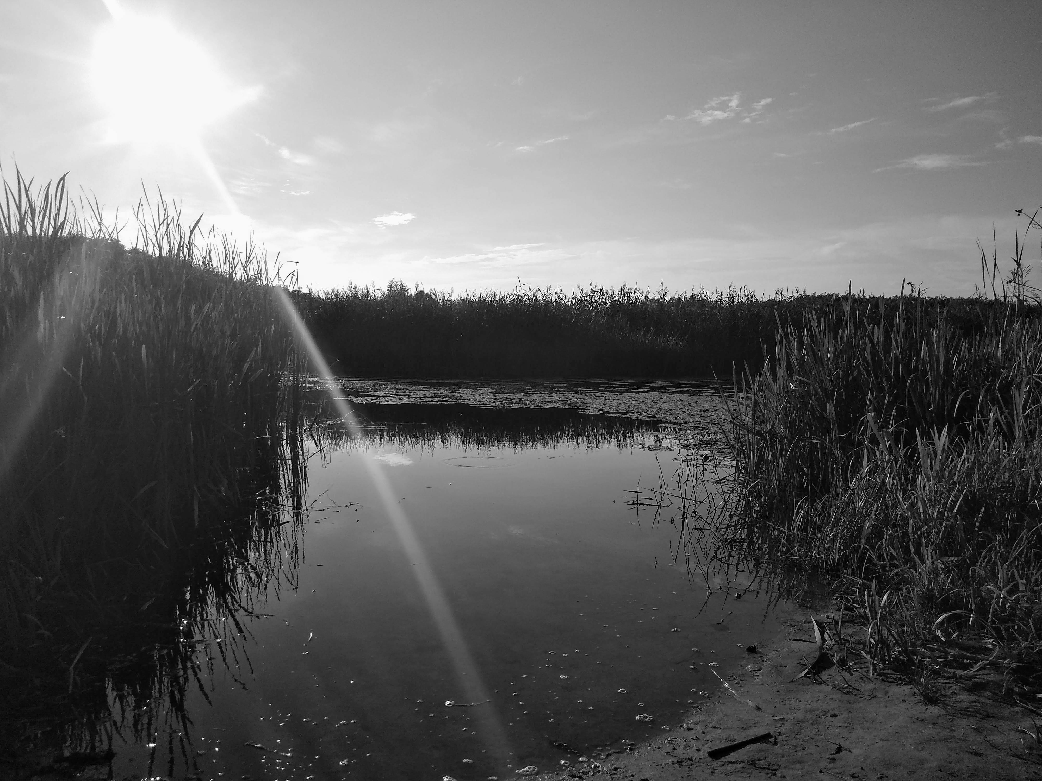 Middle-aged person looking thoughtful about their health while working from home