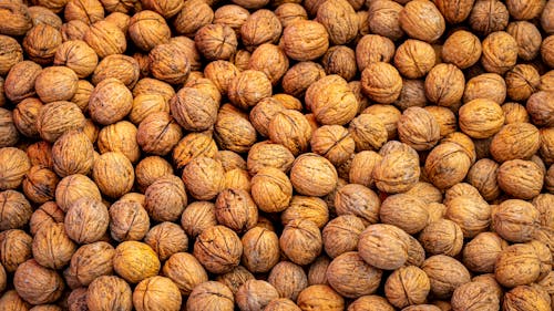 Free A Pile of Walnuts Stock Photo