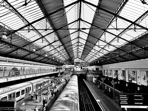 무료 기차역의 회색조 사진 스톡 사진