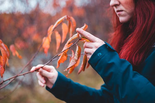 Crop woman touching gentle leaves of autumn tree in forest