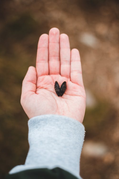 From above crop anonymous female holding small heart shaped pebble in hand while standing in autumn park