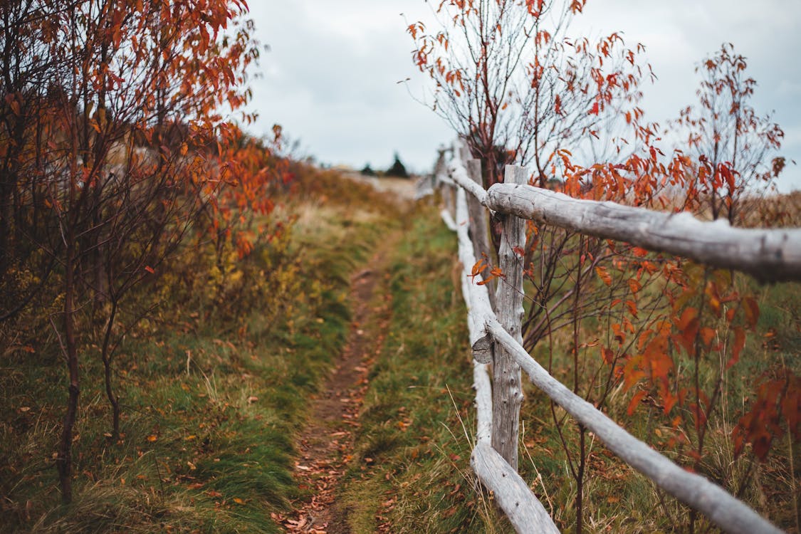Free Weathered wooden fence on grassy hill on cloudy autumn day Stock Photo