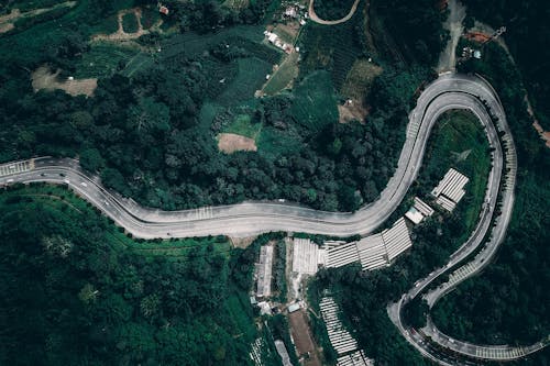 Picturesque aerial view of curvy asphalt road running through green hilly terrain with lush trees in countryside