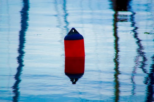 Free stock photo of art, nature, water